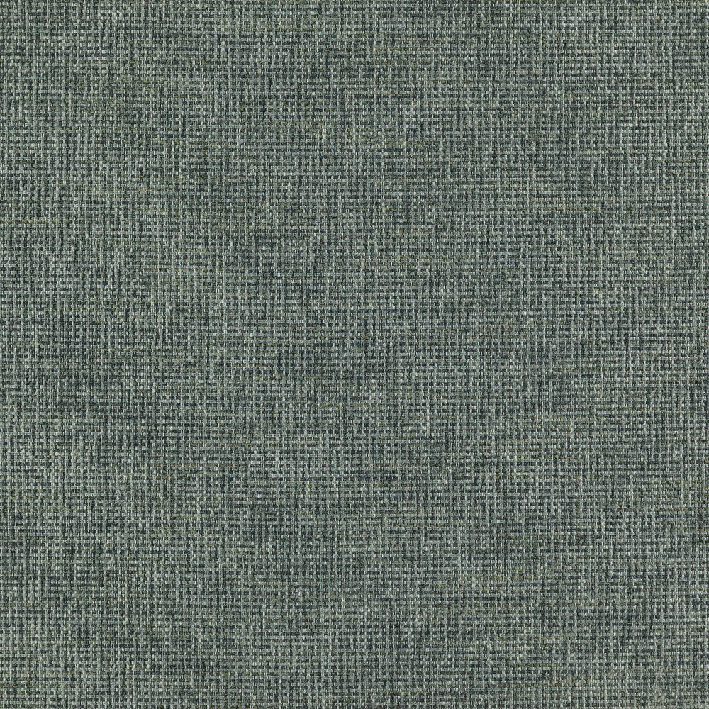RANGER 66J7351 by JF Designer Fabric Winning Weaves VI - Woven Book 90% Polyester, 10% Viscose India  Horizontal:  and Vertical:  57  - Swanky Fabrics -