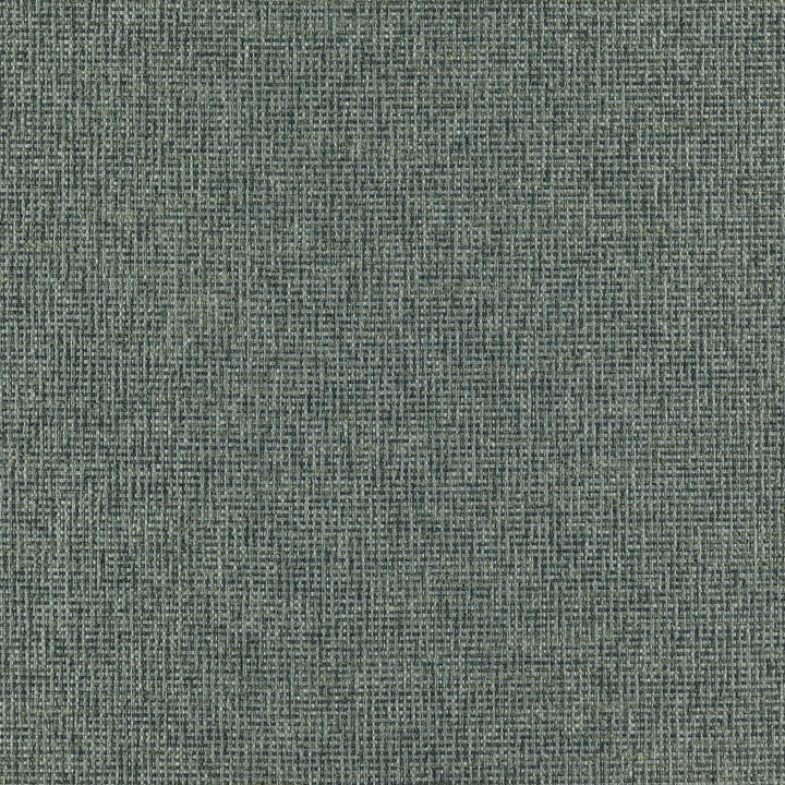 RANGER 66J7351 by JF Designer Fabric Winning Weaves VI - Woven Book 90% Polyester, 10% Viscose India  Horizontal:  and Vertical:  57  - Swanky Fabrics -