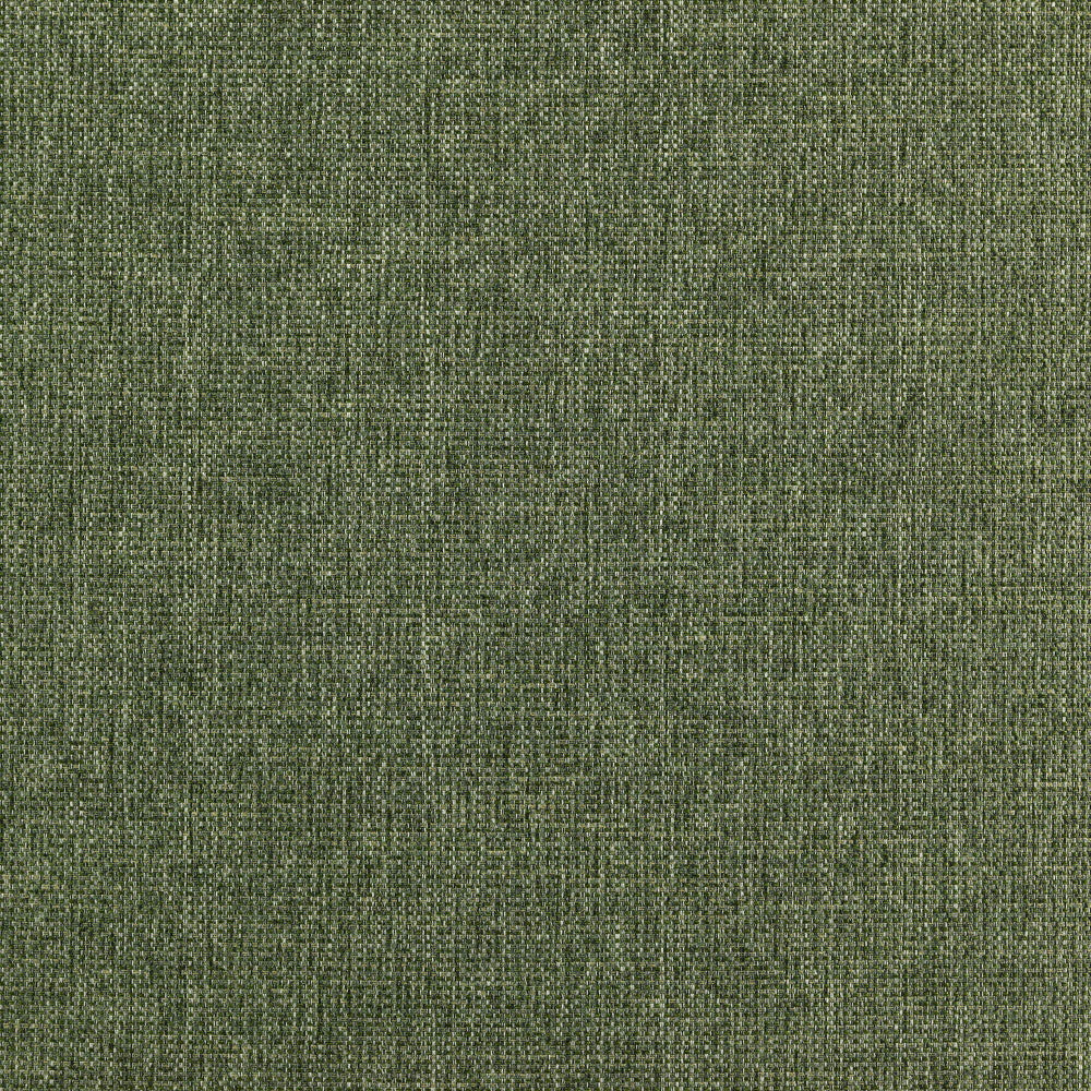 RANGER 78J7351 by JF Designer Fabric Winning Weaves VI - Woven Book 90% Polyester, 10% Viscose India  Horizontal:  and Vertical:  57  - Swanky Fabrics -