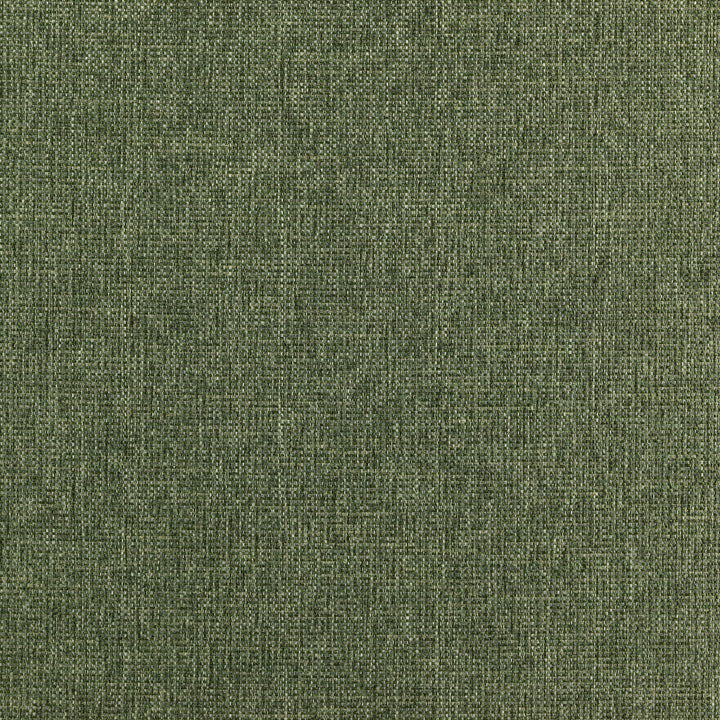 RANGER 78J7351 by JF Designer Fabric Winning Weaves VI - Woven Book 90% Polyester, 10% Viscose India  Horizontal:  and Vertical:  57  - Swanky Fabrics -