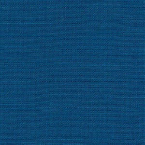 Rave Denim by Norbar Designer Fabric