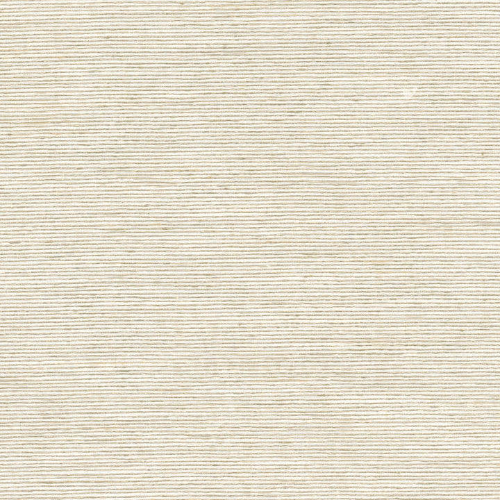 Reckless 3 Birch by Stout Designer Fabric COLOR MY WINDOW SANDALWOOD 73%SVI 27%POL INDIA WYZENBEEK 50 000 DOUBLE RUB WEAR TEST (HEAVY DUTY) Horizontal: 0.000 and Vertical: 0.000 54 in - Swanky Fabrics -
