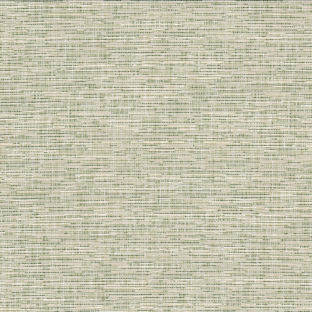 Record 1 Grass by Crypton Fabric Crypton Fabric Record 1 GrassFabric LIVING IS EASY CRYPTON SHADES OF COLOR 81%POL 19%SVI USA </p><p>Repeat: H: 0.000, V: 0.000 54 in - Fabric Carolina -