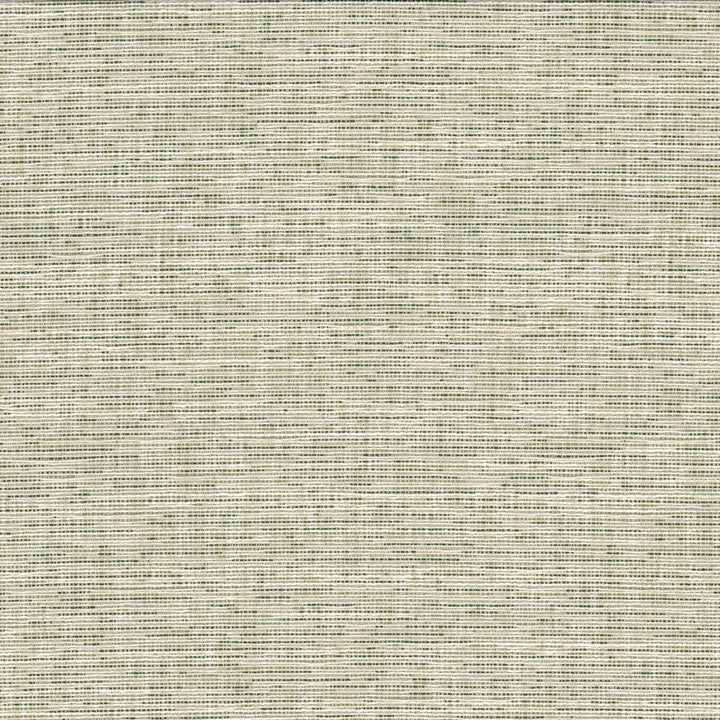 Record 1 Grass by Crypton Fabric Crypton Fabric Record 1 GrassFabric LIVING IS EASY CRYPTON SHADES OF COLOR 81%POL 19%SVI USA </p><p>Repeat: H: 0.000, V: 0.000 54 in - Fabric Carolina -