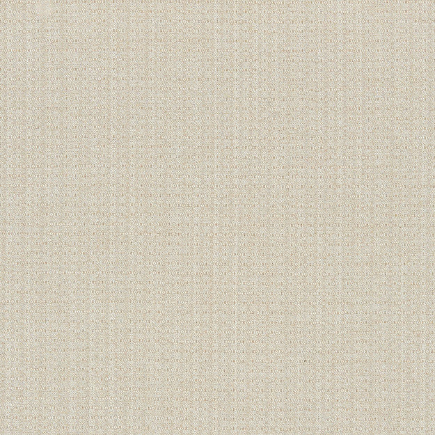 RECREATION 33J8391 by JF Designer Fabric CC DRIFTWOOD INSIDE OUT 61% Olefin, 39% Polyester UNITED STATES ABRASIO (HEAVY DUTY- 30,000+ DOUBLE RUBS) Horizontal: N/A and Vertical: N/A 54.00 - Swanky Fabrics -