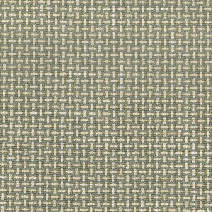 Regina Chive by Magnolia Designer Fabric - 100% Poly China 75000 Horizontal: 0.5 and Vertical: 0.5 56" - Swanky Fabrics -