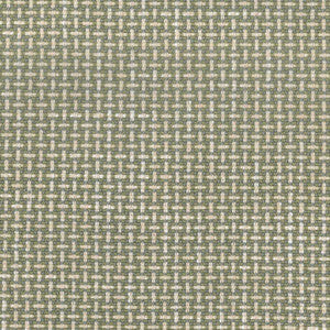 Regina Chive by Magnolia Designer Fabric