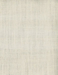 Relay Canvas 046 by Norbar Designer Fabric