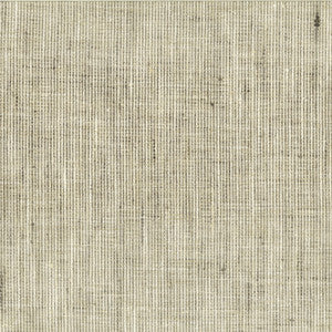 Rembrandt 1 Nickel by Stout Designer Fabric