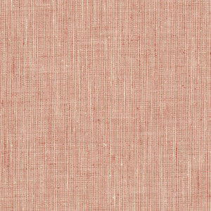 Rembrandt 4 Peach by Stout Designer Fabric