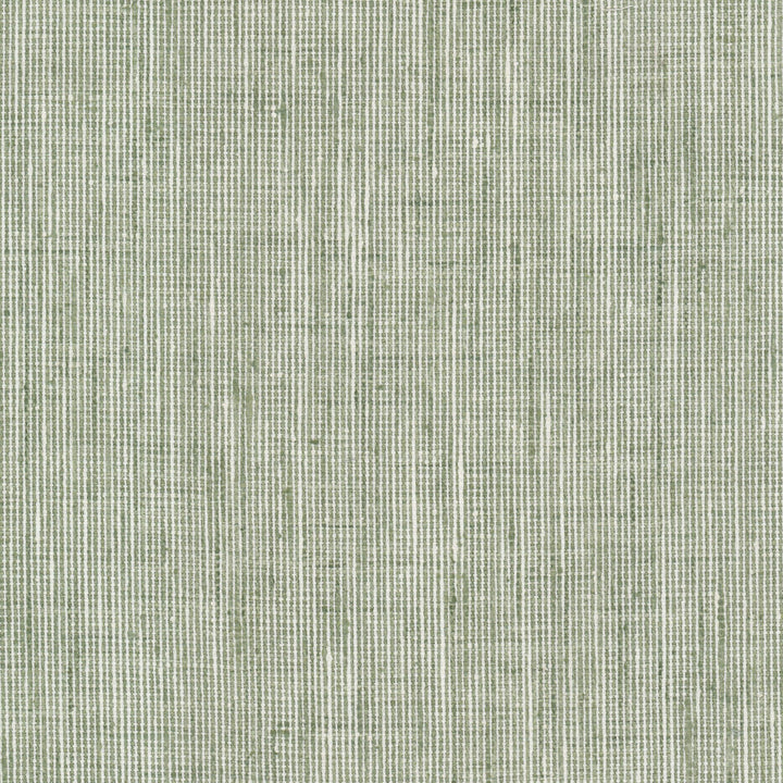 Rembrandt 6 Sage by Stout Fabric Stout Fabric Rembrandt 6 SageFabric RAINBOW LIBRARY SAGE/CYPRESS 100%POL INDIA </p><p>Repeat: H: 0.000, V: 0.000 54 in - Fabric Carolina -