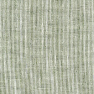 Rembrandt 6 Sage by Stout Designer Fabric