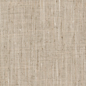 Rembrandt 7 Khaki by Stout Designer Fabric