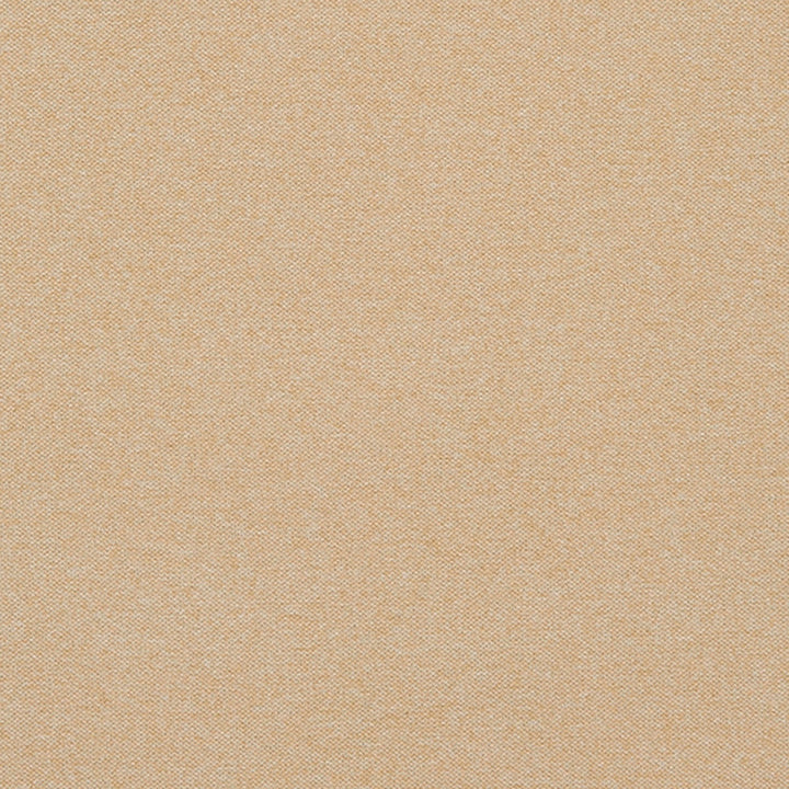 Remington 11J7031 by JF Crypton Designer Fabric Crypton Binder 100% Polyester Taiwan 50000 Horizontal: and Vertical: 54 - Swanky Fabrics -