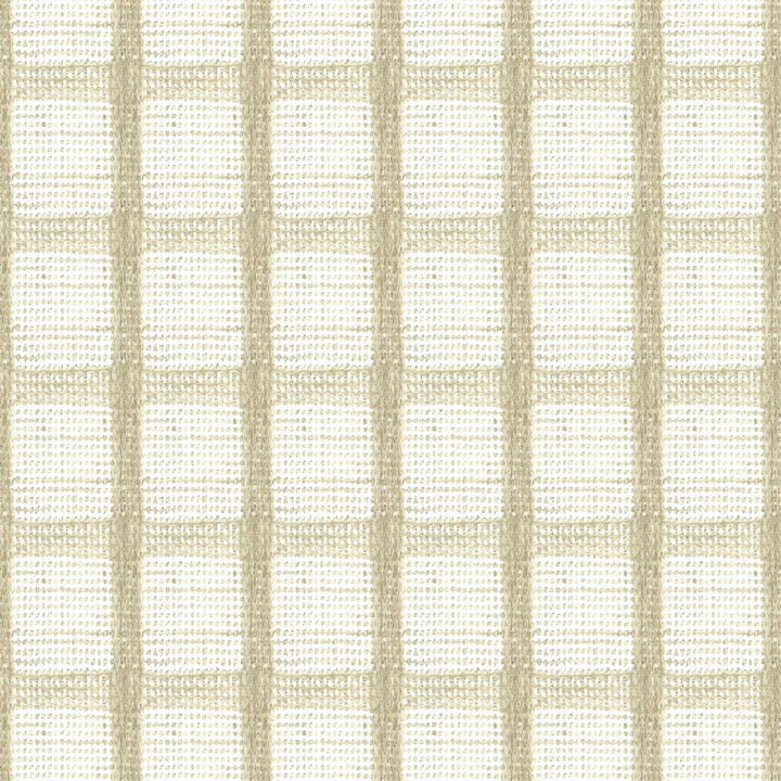 Reva 1 Beige by Stout Fabric Stout Fabric Reva 1 BeigeFabric RAINBOW LIBRARY OATMEAL/STRAW 100%POL INDIA </p><p>Repeat: H: 2.000, V: 2.000 54 in - Fabric Carolina -