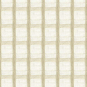 Reva 1 Beige by Stout Designer Fabric