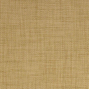 Rex Birch by Norbar Designer Fabric SOLAR 100% POLYESTER WITH ACRYLIC S. KOREA 55" - Swanky Fabrics -