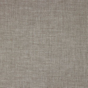 Rex Fossil by Norbar Designer Fabric