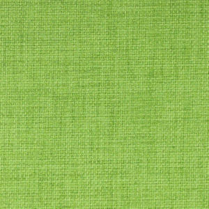 Rex Willow by Norbar Designer Fabric SOLAR 100% POLYESTER WITH ACRYLIC S. KOREA 55" - Swanky Fabrics -