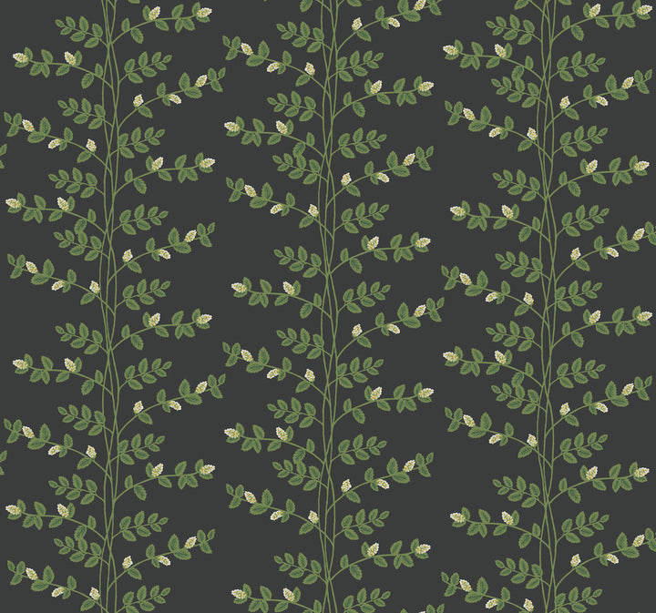 Climbing Vine Black Wallpaper by Rifle Paper Co. Designer Rifle Paper Co. 3rd Edition Covers about 60.8 square feet 27-in by 27-ft long roll Unpasted 25.25 - Swanky Fabrics -