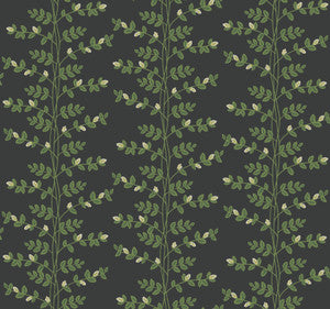 Climbing Vine Black Wallpaper by Rifle Paper Co. Designer