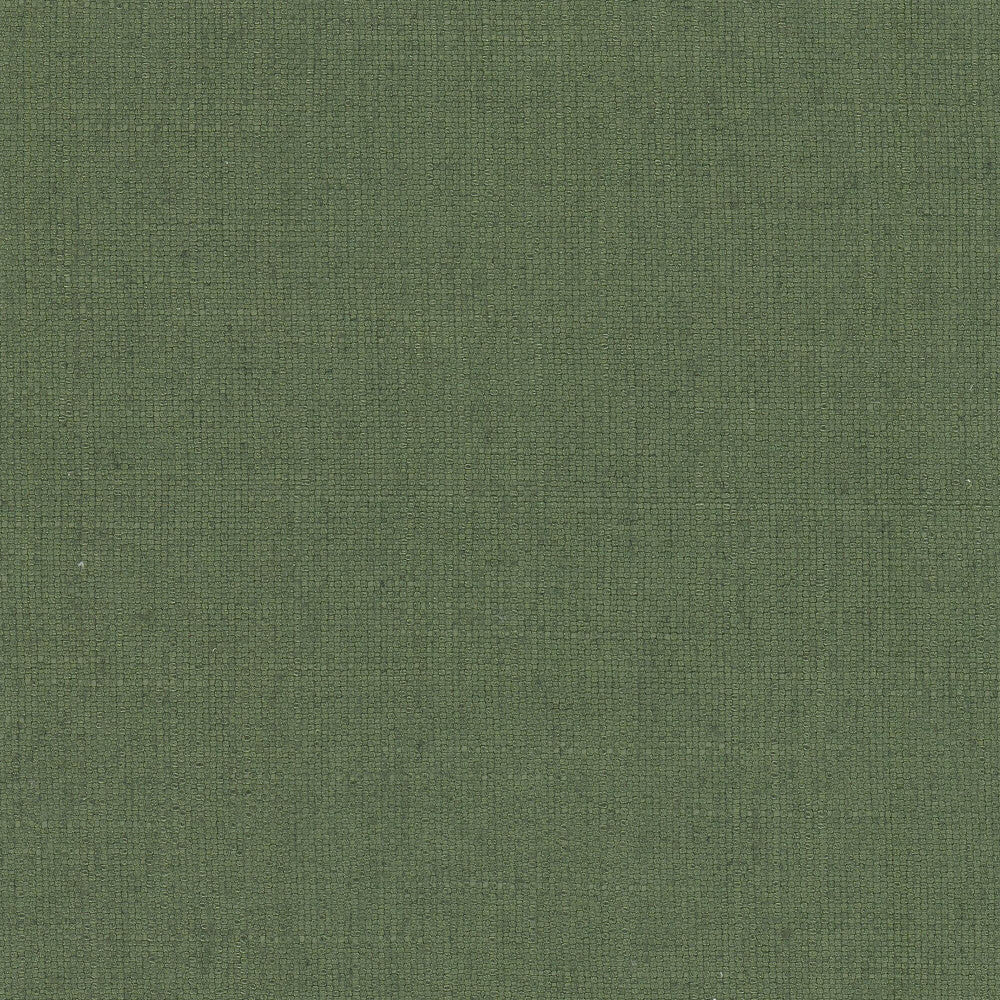 Rhea 17 Boxwood by Stout Designer Fabric THE ART OF COLOR WELL KEPT SECRET 36%POL 26%COT 22%SVI 16%LIN CHINA FLAME RETARDANT-U.F.A.C. CLASS 1 CATB 117-2013 WYZENBEEK 95 000 DOUBLE RUB WEAR TEST (HEAVY DUTY) Horizontal: 0.000 and Vertical: 0.000 56 in - Swanky Fabrics -