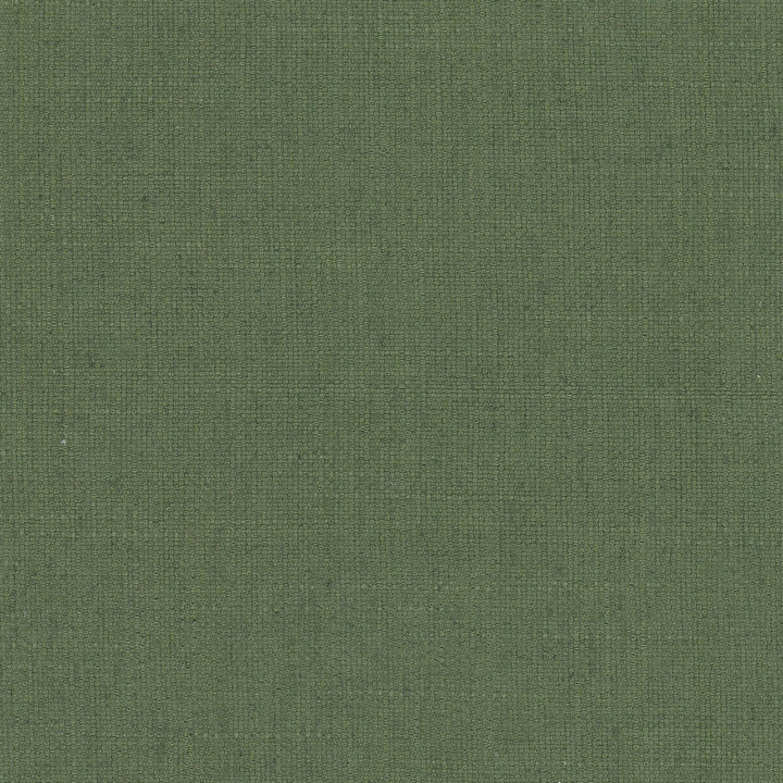 Rhea 17 Boxwood by Stout Fabric Stout Fabric Rhea 17 BoxwoodFabric THE ART OF COLOR WELL KEPT SECRET 36%POL 26%COT 22%SVI 16%LIN CHINA </p><p>Repeat: H: 0.000, V: 0.000 56 in - Fabric Carolina -