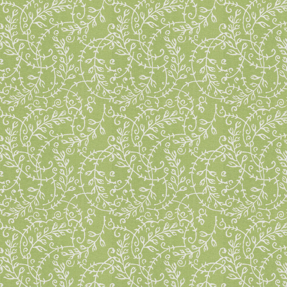 Rhumba 1 Seedling by Aoc Designer Fabric THE ART OF COLOR DOWN THE LANE 100%COT INDIA Horizontal: 6.500 and Vertical: 6.500 56 in - Swanky Fabrics -