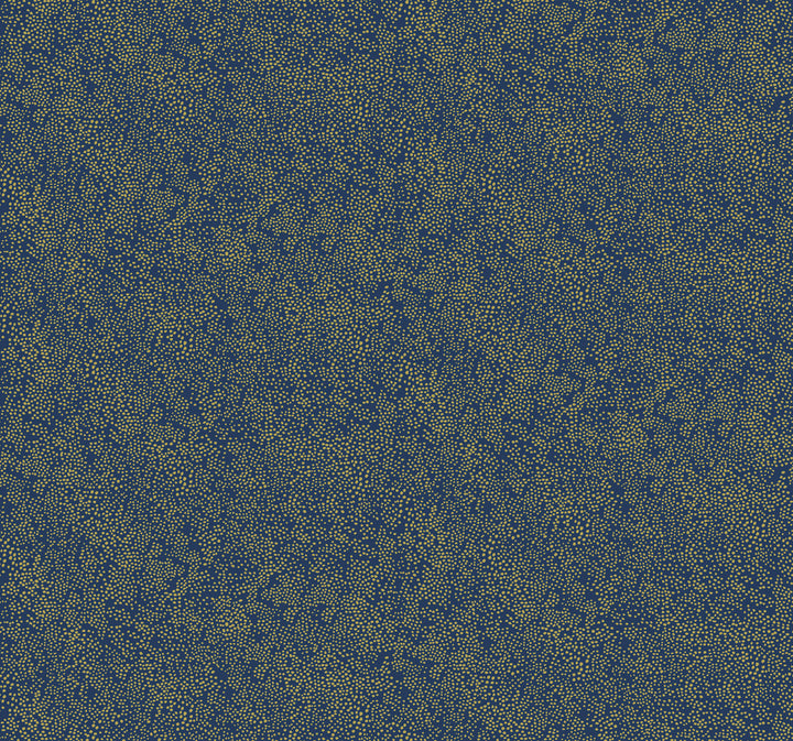 Champagne Dots Gold & Navy Wallpaper by Rifle Paper Co. Designer Rifle Paper Co. Covers about 60.8 square feet 27-in by 27-ft long roll Unpasted 25.25 - Swanky Fabrics -