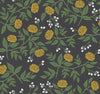 Peonies Black & Gold Wallpaper by Rifle Paper Co. Designer