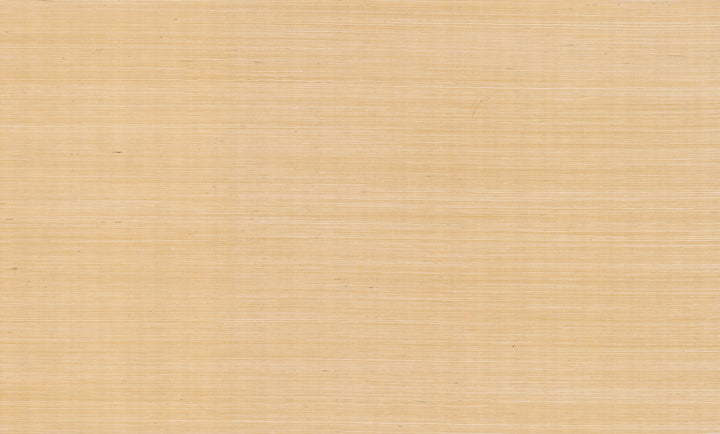 Palette Gold Metallic Wallpaper by Rifle Paper Co. Designer Rifle Paper Co. Covers about 72 square feet 36-in by 24-ft long roll Unpasted 0 - Swanky Fabrics -