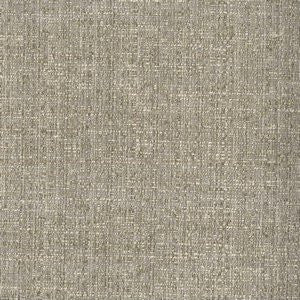 Riddle Coin by Norbar Designer Fabric