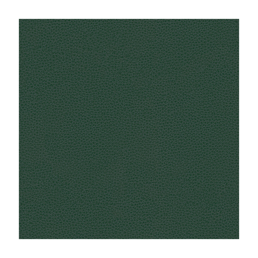 Rigel-5 by Kravet Design Designer Fabric POLY VINYL CHLORIDE - 100% Taiwan HEAVY Horizontal: and Vertical: 54 - Swanky Fabrics -