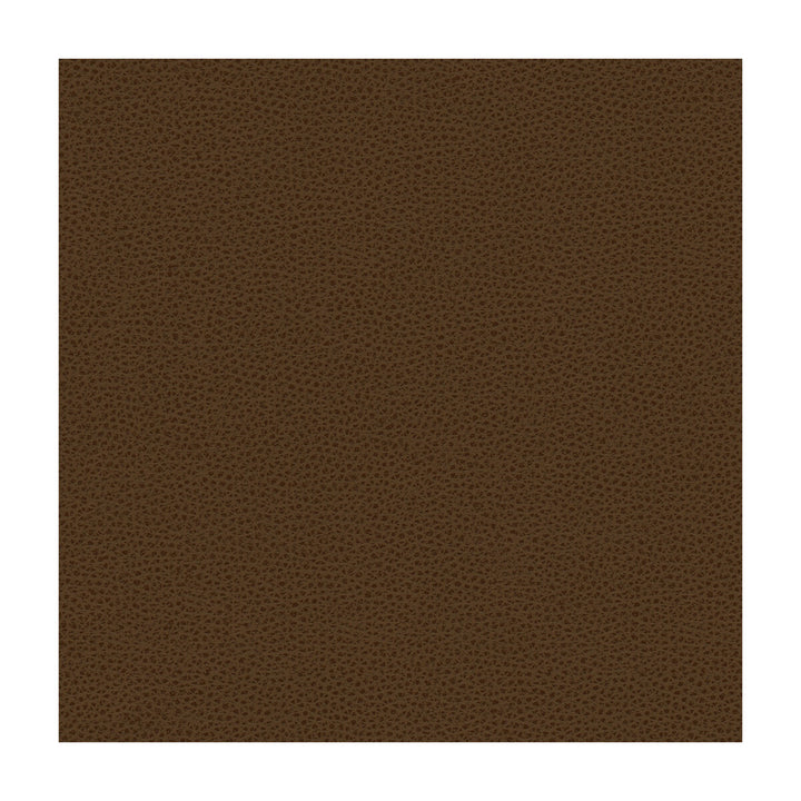 Rigel-6 by Kravet Design Designer Fabric - POLY VINYL CHLORIDE - 100% Taiwan HEAVY Horizontal: - and Vertical: - 54 - Swanky Fabrics -