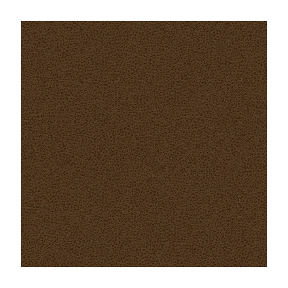 Rigel-6 by Kravet Design Designer Fabric POLY VINYL CHLORIDE - 100% Taiwan HEAVY Horizontal: and Vertical: 54 - Swanky Fabrics -