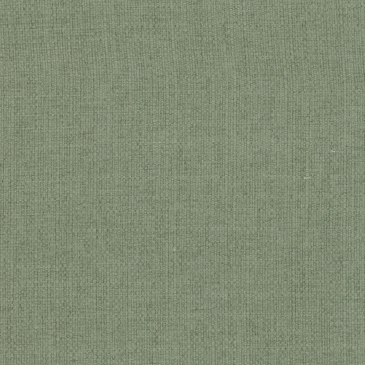 Rivalry 2 Cypress by Stout Designer Fabric LIVING IS EASY ALOE/MINERAL 100%POL CHINA FLAME RETARDANT-U.F.A.C. CLASS 1 CATB 117-2013 WYZENBEEK 51 000 DOUBLE RUB WEAR TEST (HEAVY DUTY) Horizontal: 0.000 and Vertical: 0.000 56 in - Swanky Fabrics -