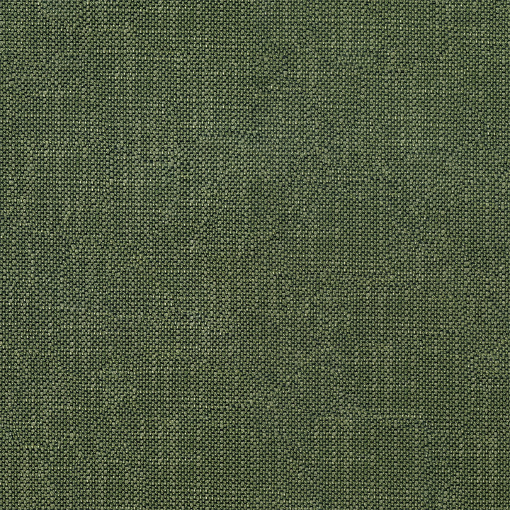 Striving 202 Alpine by ABBEYSHEA Designer Fabric 100% Polyester CN 50,000 Double Rubs (Wyzenbeek) </p><p>Repeat: Horizontal: and Vertical: 57 in. (142 cm) - Swanky Fabrics -