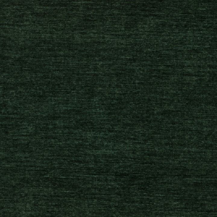 Rave # 618 Evergreen by Maxwell Designer Fabric Pure & Simple Xviii 100% POLYESTER TAIWAN 57" - Swanky Fabrics -