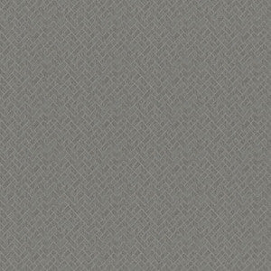 Rhyme # 605 Thunder by Maxwell Designer Fabric