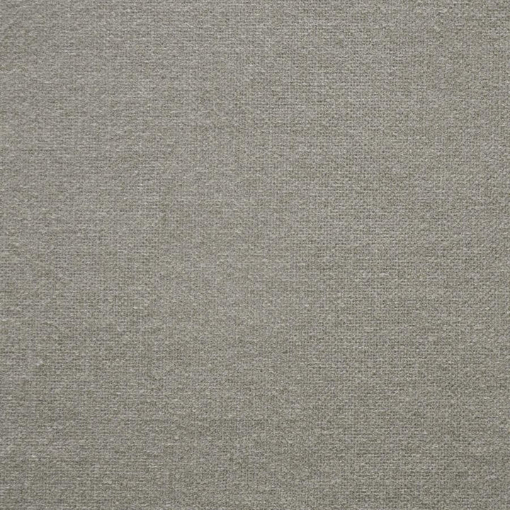 Rex # 810 Peanut by Maxwell Designer Fabric Performance Wovens-Vol. V Badlands 68% ACETATE/29% POLYESTER/3% VISCOSE TURKEY 55" - Swanky Fabrics -