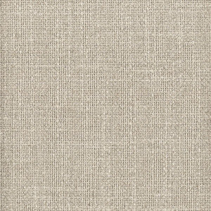 Robinson 3 Cement by Stout Designer Fabric