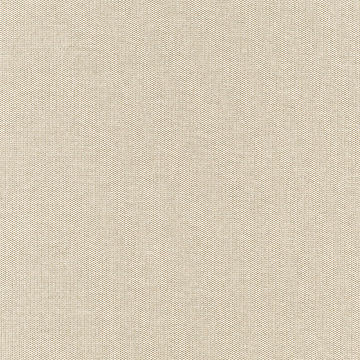 ROOKIE 91J7351 by JF Designer Fabric Winning Weaves VI - Woven Book 90% Polyester, 10% Viscose India  Horizontal:  and Vertical:  57  - Swanky Fabrics -