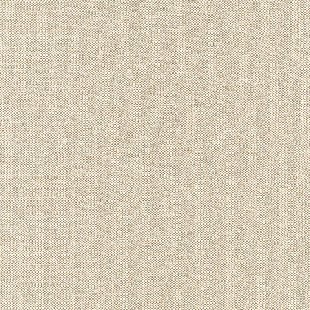 Rookie 91J7351 by JF Designer Fabric Winning Weaves VI - Woven Book 90% Polyester, 10% Viscose India 25000 Horizontal: and Vertical: 57 - Swanky Fabrics -