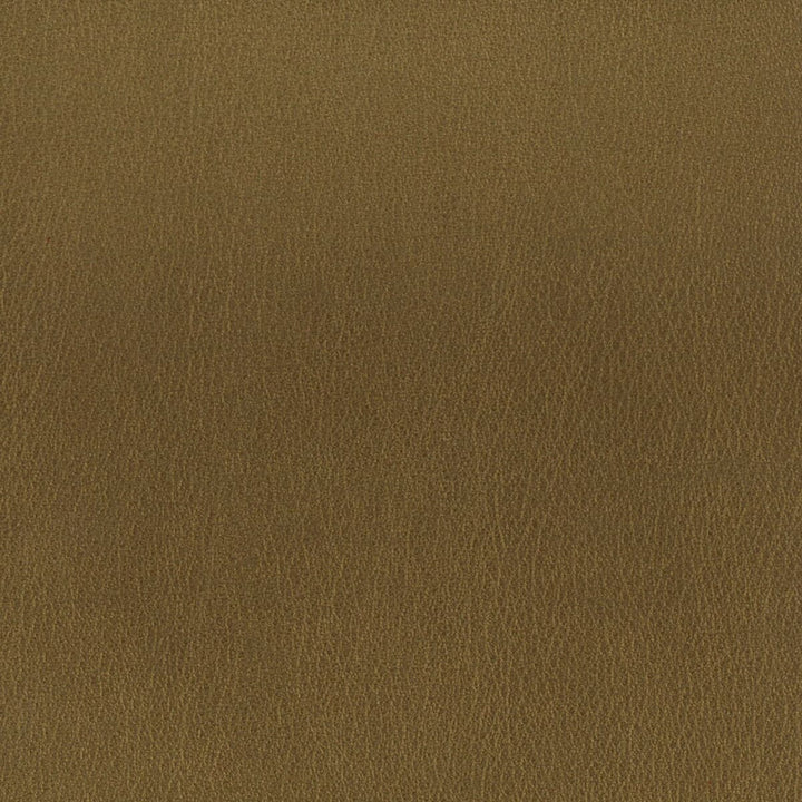 Roulette 1 Bronze by Stout Designer Fabric Leather Looks Ii 100% Other 9% Other CHINA FLAME RETARDANT-U.F.A.C. CLASS 1 (OR A) FLAME RETARDANT-N.F.P.A. 260A CLASS 1 CATB 117-2013 WYZENBEEK 100 000 DOUBLE RUB WEAR TEST (HEAVY DUTY) Horizontal: 0 and Vertical: 0 54 in - Swanky Fabrics -