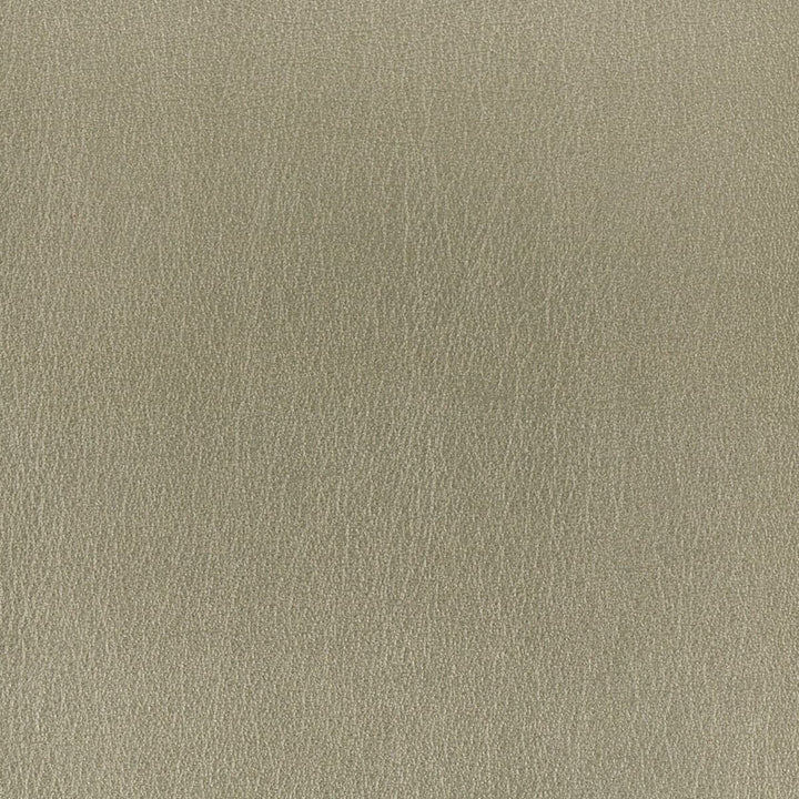 Roulette 2 Platinum by Stout Designer Fabric LEATHER LOOKS II 100%OTH 9%OTH CHINA FLAME RETARDANT-U.F.A.C. CLASS 1 FLAME RETARDANT-N.F.P.A. 260A CLASS 1 CATB 117-2013 WYZENBEEK 100 000 DOUBLE RUB WEAR TEST (HEAVY DUTY) </p><p>Repeat: 0 54 in - Swanky Fabrics -