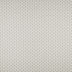 Rousseau 1 Ash by Marcus William Designer Fabric