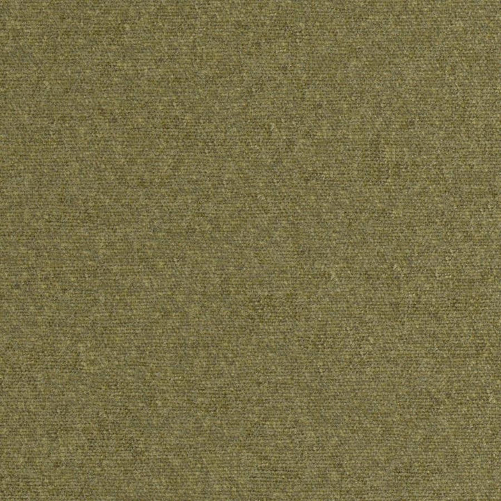 Rondo # 813 Moss by Maxwell Designer Fabric Curled Up Viii 100% RECYCLED POLYESTER INDIA 54" - Swanky Fabrics -