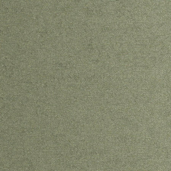 Rondo # 814 Sage by Maxwell Designer Fabric Curled Up Viii 100% RECYCLED POLYESTER INDIA 54" - Swanky Fabrics -