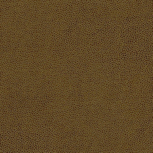 Rambutan-Nj # 755 Hazelnut by Maxwell Designer Fabric