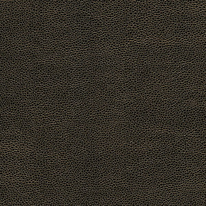 Rambutan-Nj # 758 Soot by Maxwell Designer Fabric